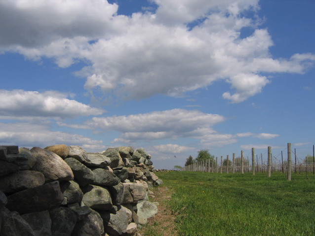 stone wall facing back of ceremony location