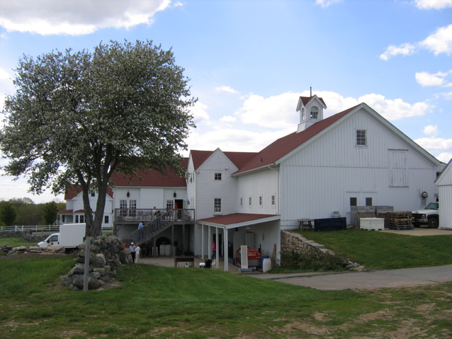 back of buildings & back deck