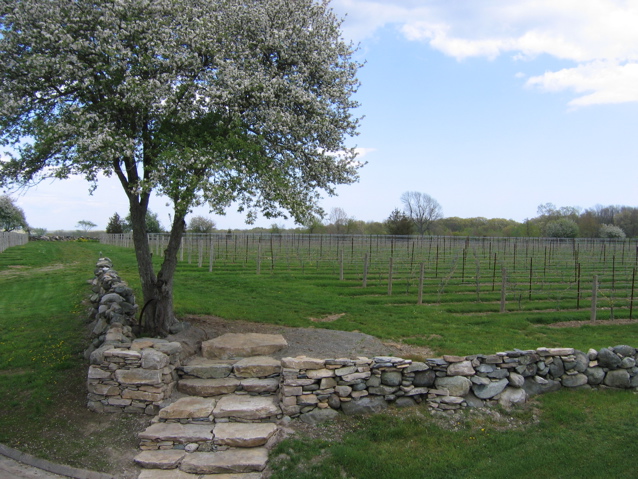 stone steps from back deck