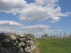 stone wall facing back of ceremony location