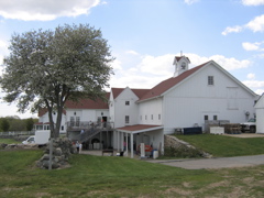 back of buildings & back deck