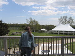 view from back deck to reception area and fence gap