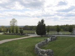 front and side yards